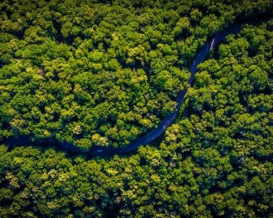 8 научных мифов, которые давно стоило опровергнуть