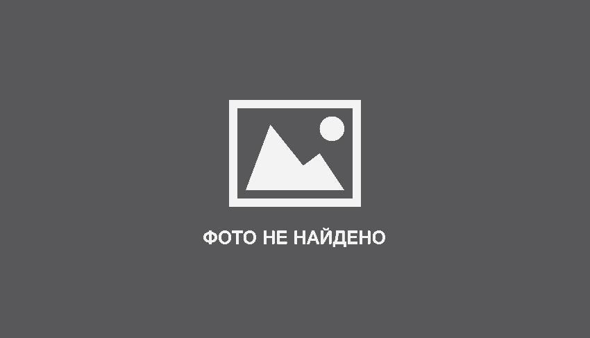 Почему мы упускаем хорошие идеи и падаем в объятия мошенников